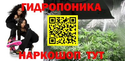 мдпв Аргун