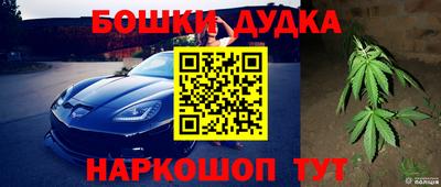 мдпв Аргун