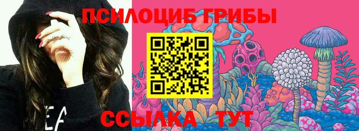 Галлюциногенные грибы мухоморы Аша