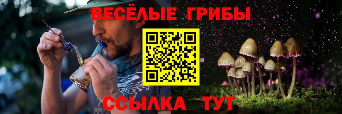 Аша  Псилоцибиновые грибы GOLDEN TEACHER  купить   Галлюциногенные грибы Psilocybe  Вход с VPN 
